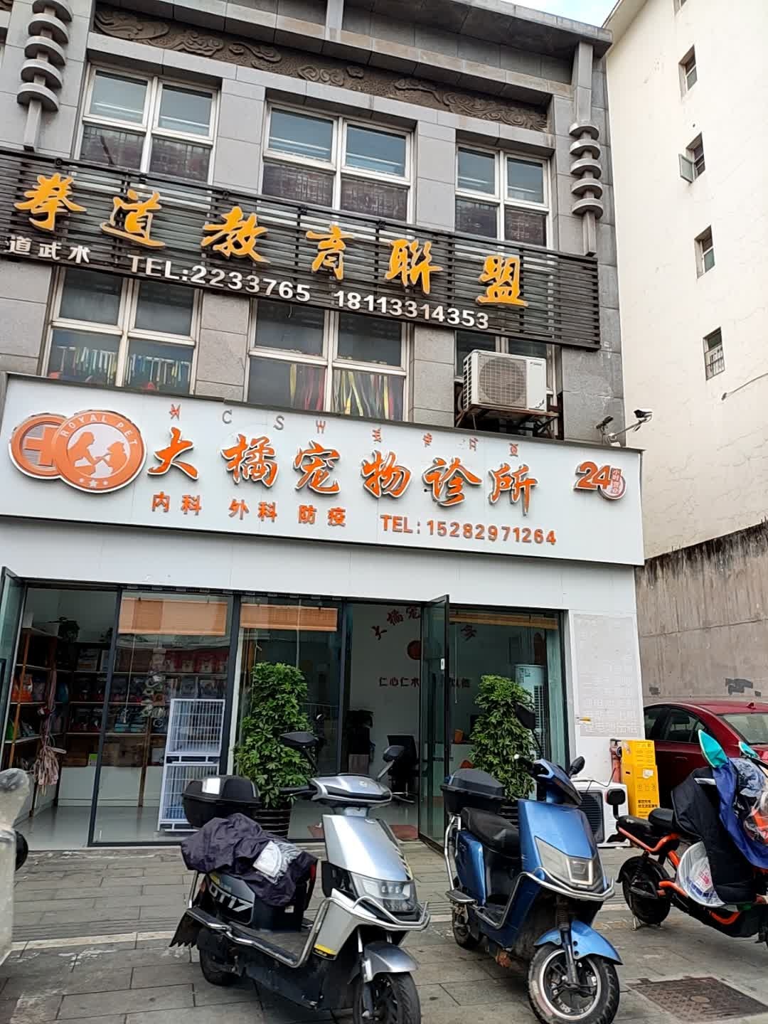 大橘宠物诊所