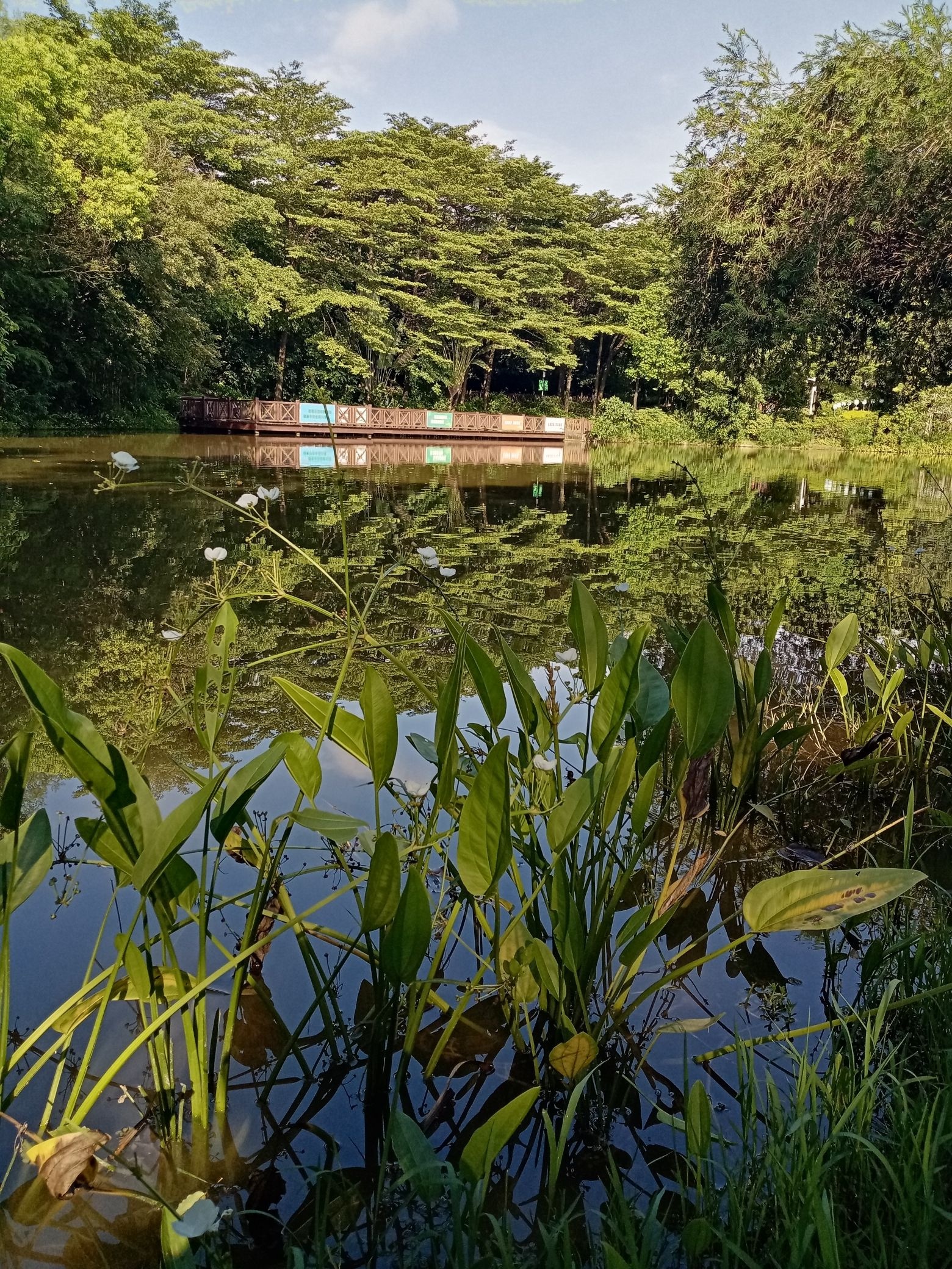 马鞍山公园