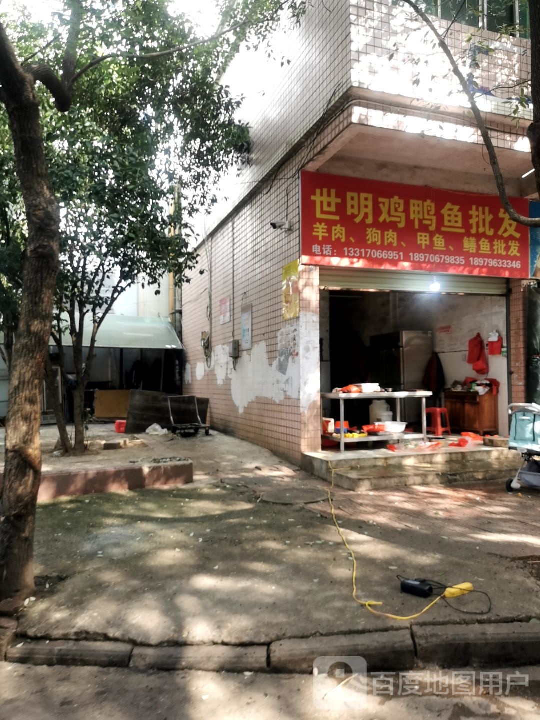 世明鸡鸭鱼批发