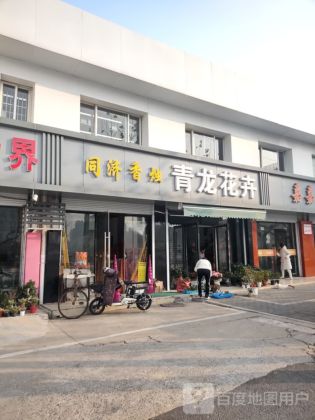 青龙花卉
