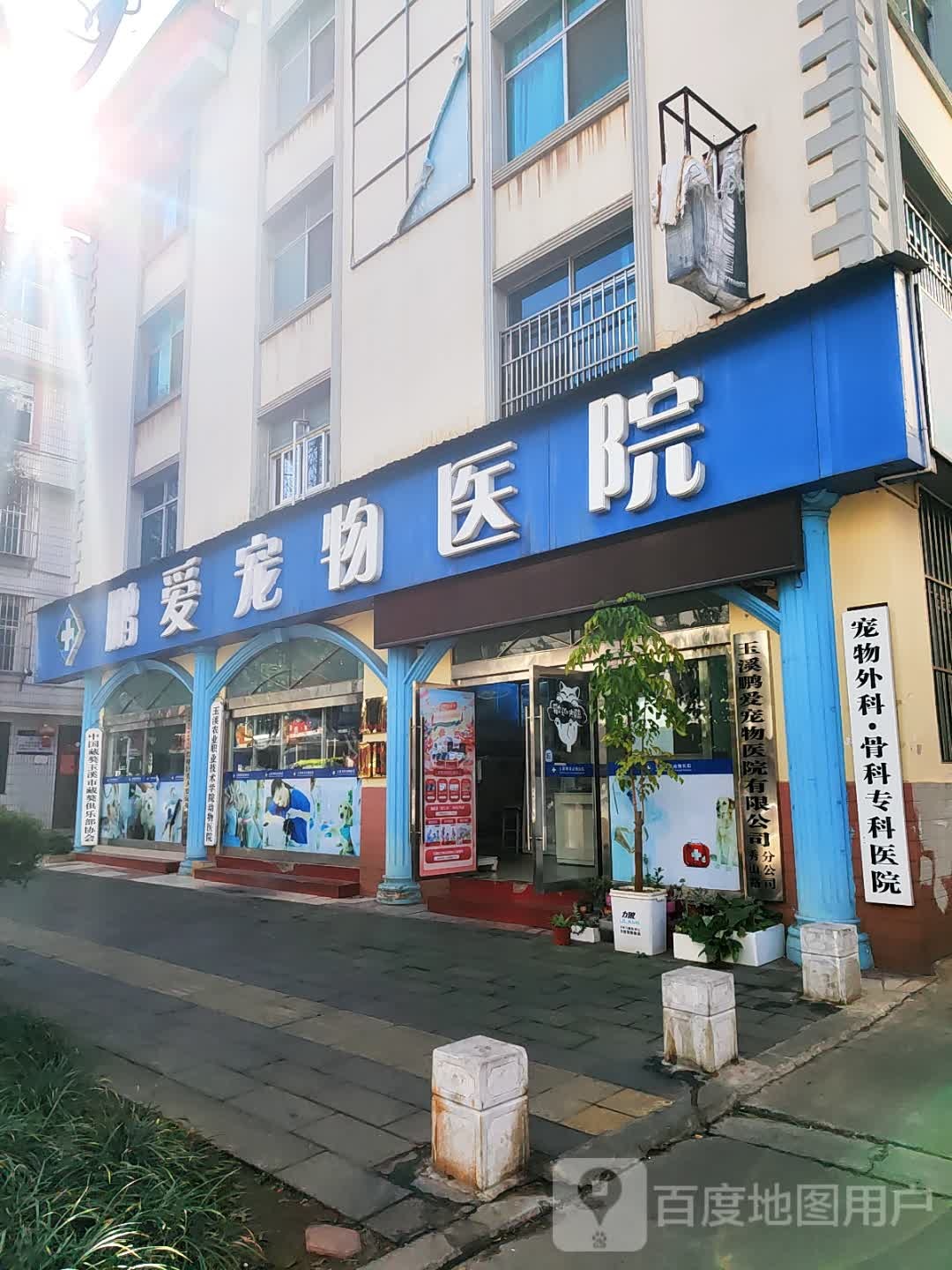 鹏爱宠物医院(秀山路店)