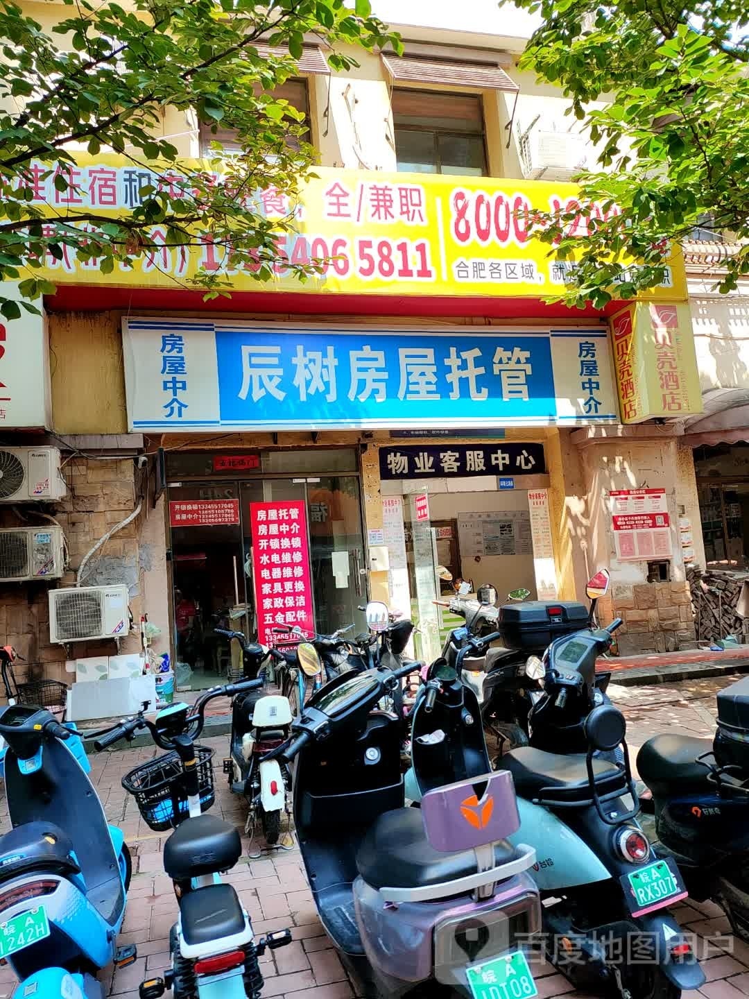 辰树房屋信息