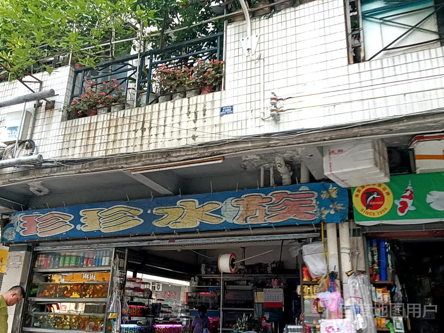 珍珍水族(地王广场店)