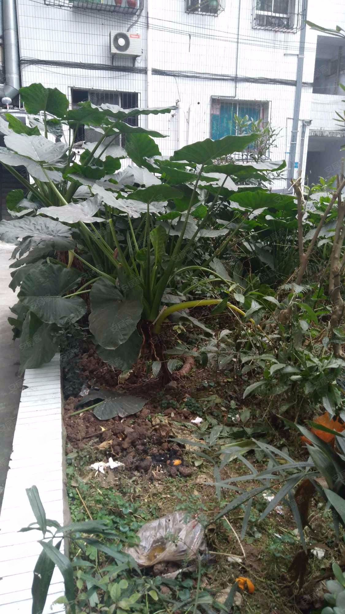 璧山糖果厂家属院