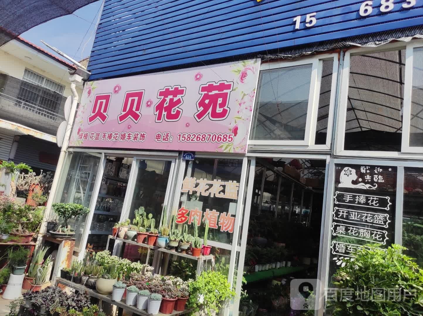 贝贝花苑(孝感花鸟文化市场店)