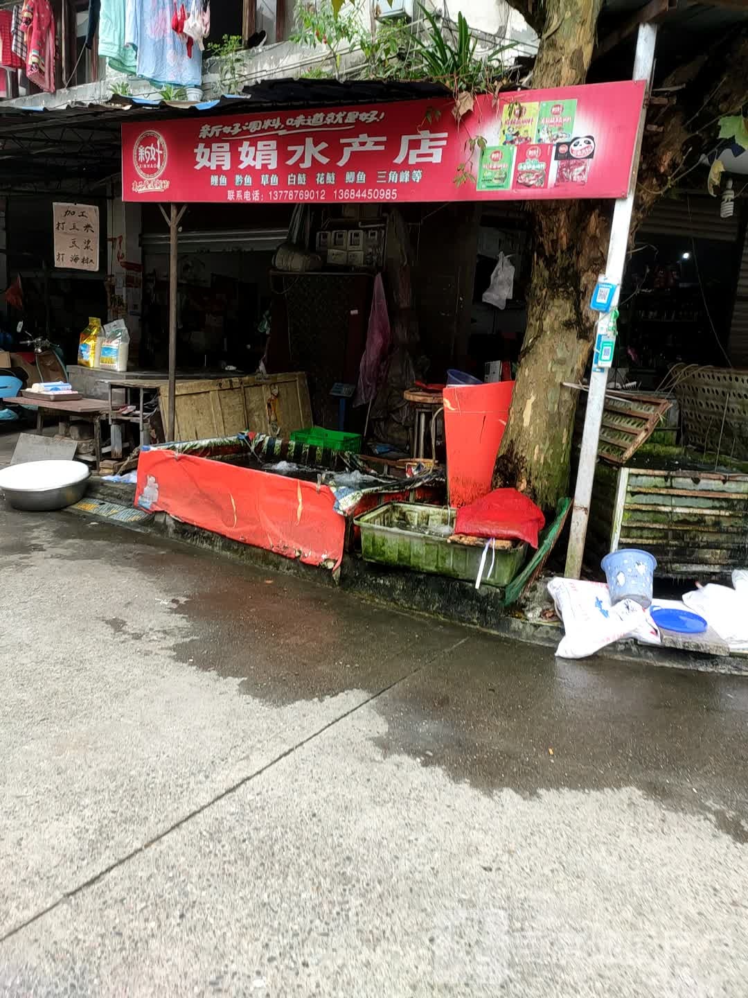 娟娟水产店