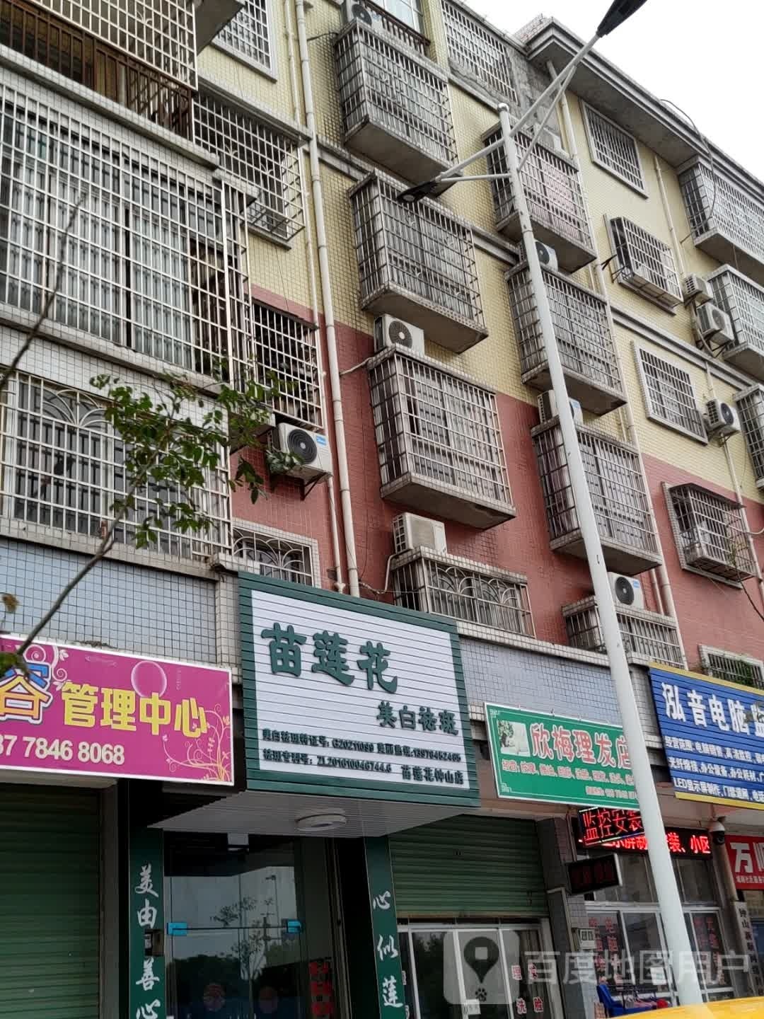 苗花连美白祛斑