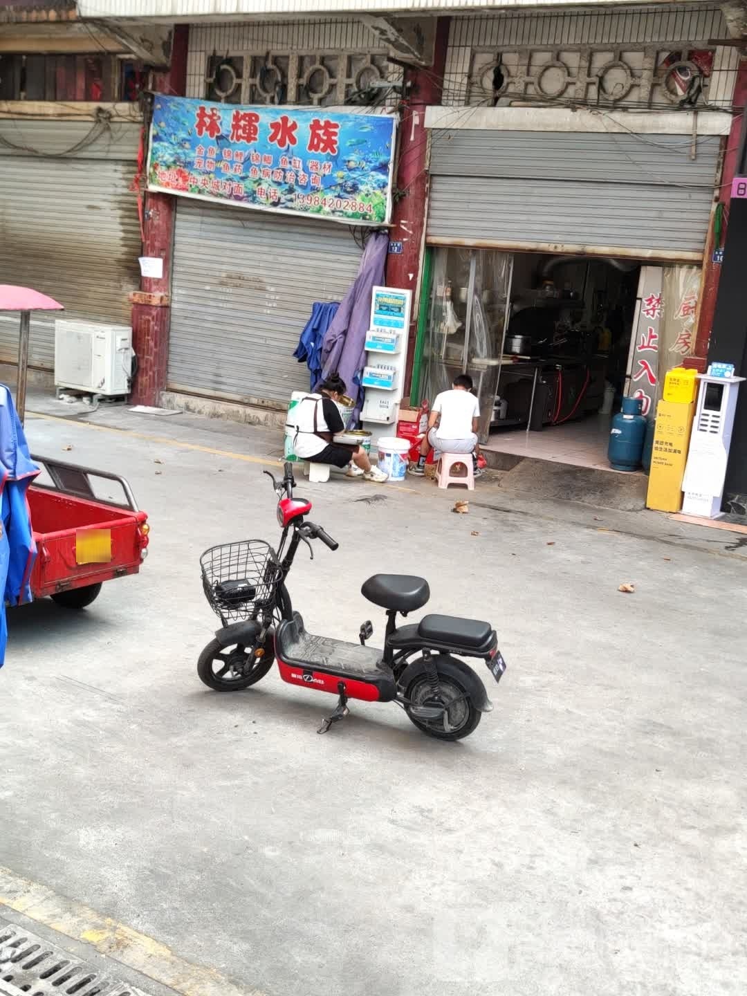 林辉水族