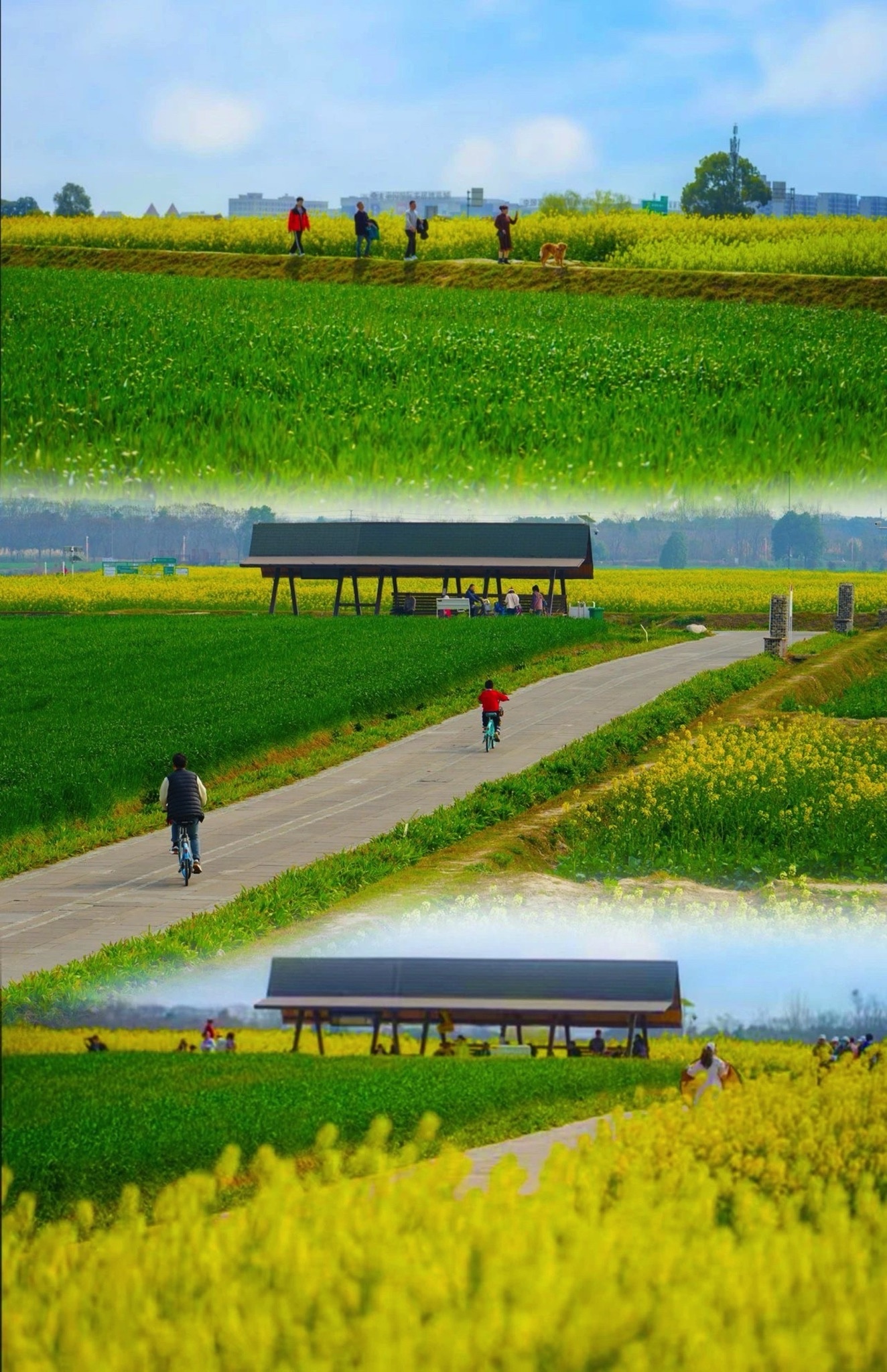 萌宠乐园