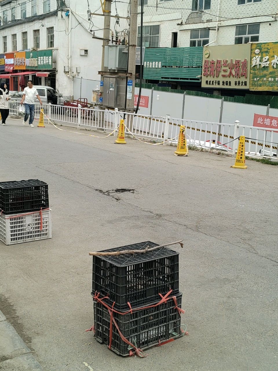 清真绿海伊兰火锅鸡(南山东路店)