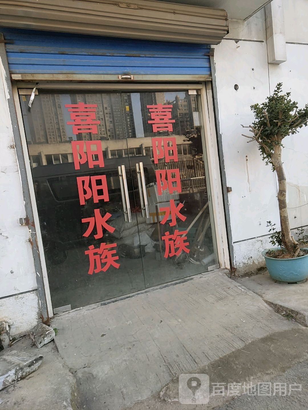 喜阳阳水族馆