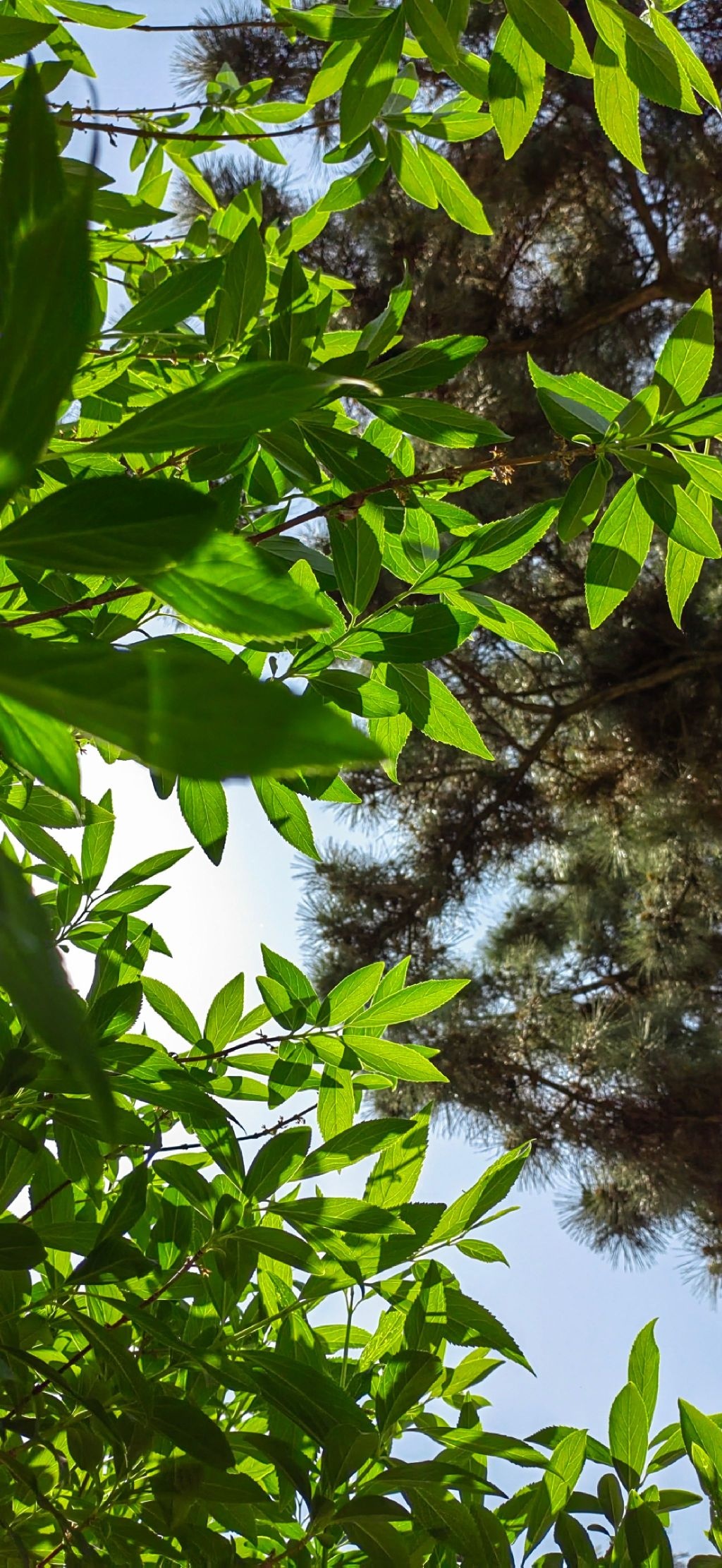 艾山风景名胜区