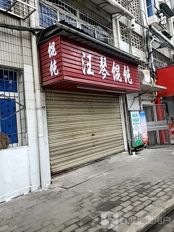 汪琴混沌