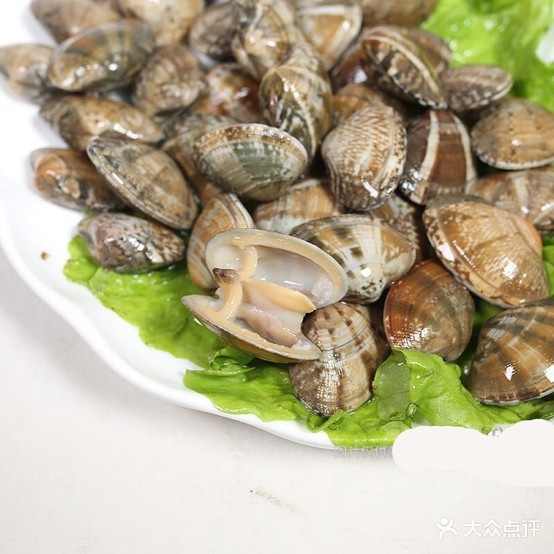 鱼佳鲜活鱼海先