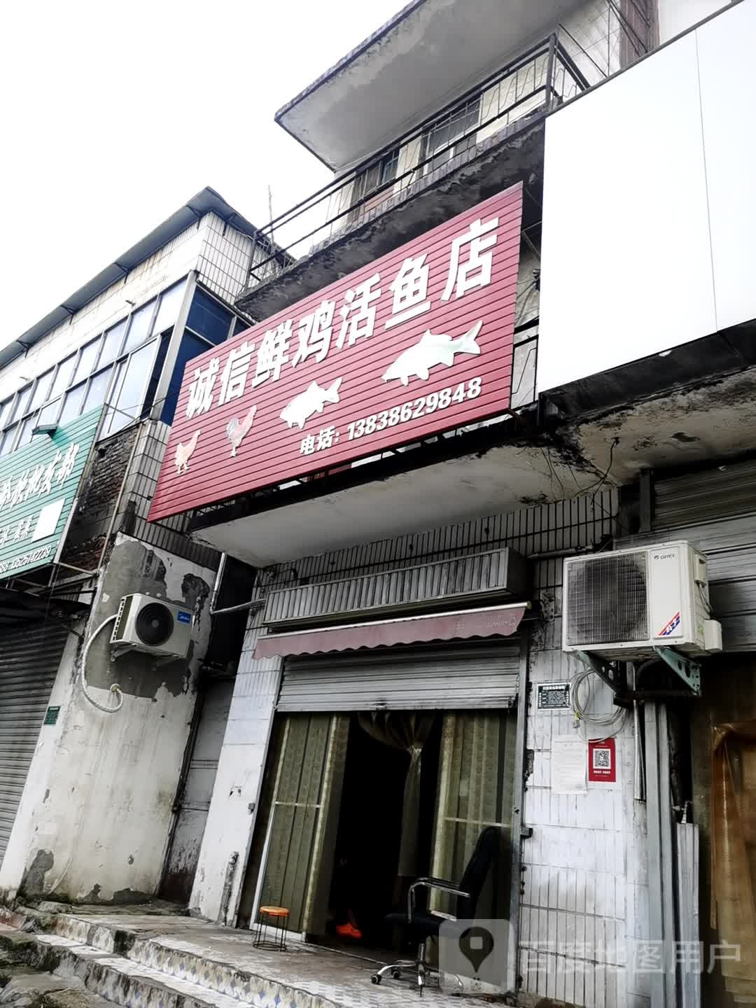 诚信鱼店