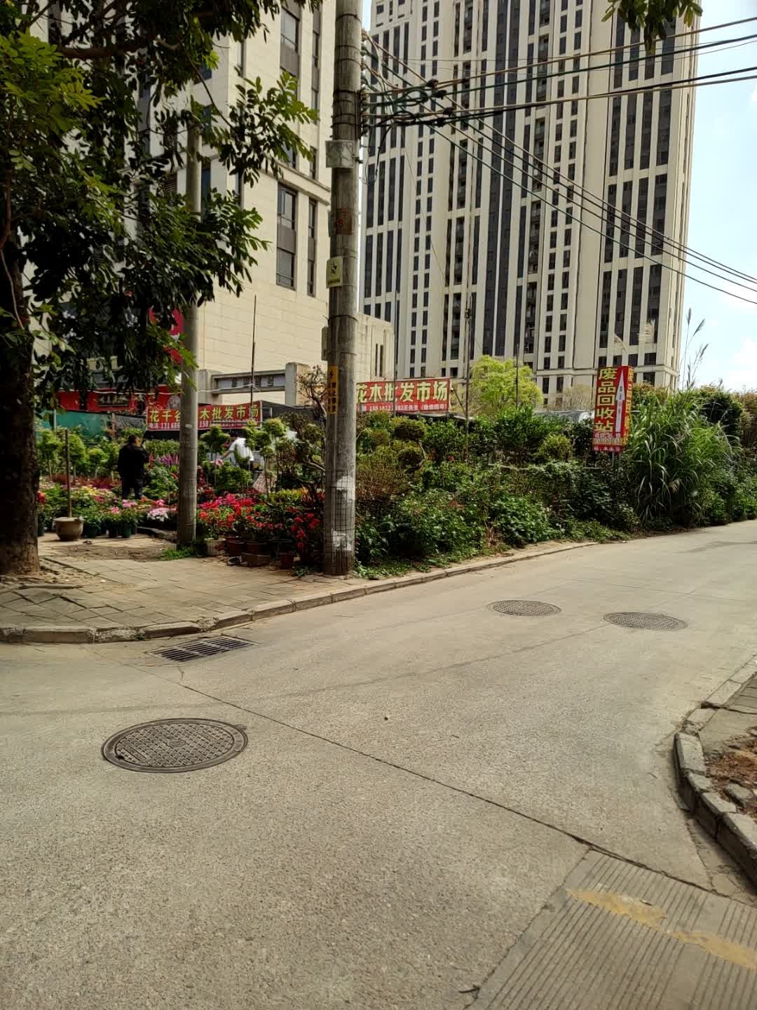 花千谷花木批发市场