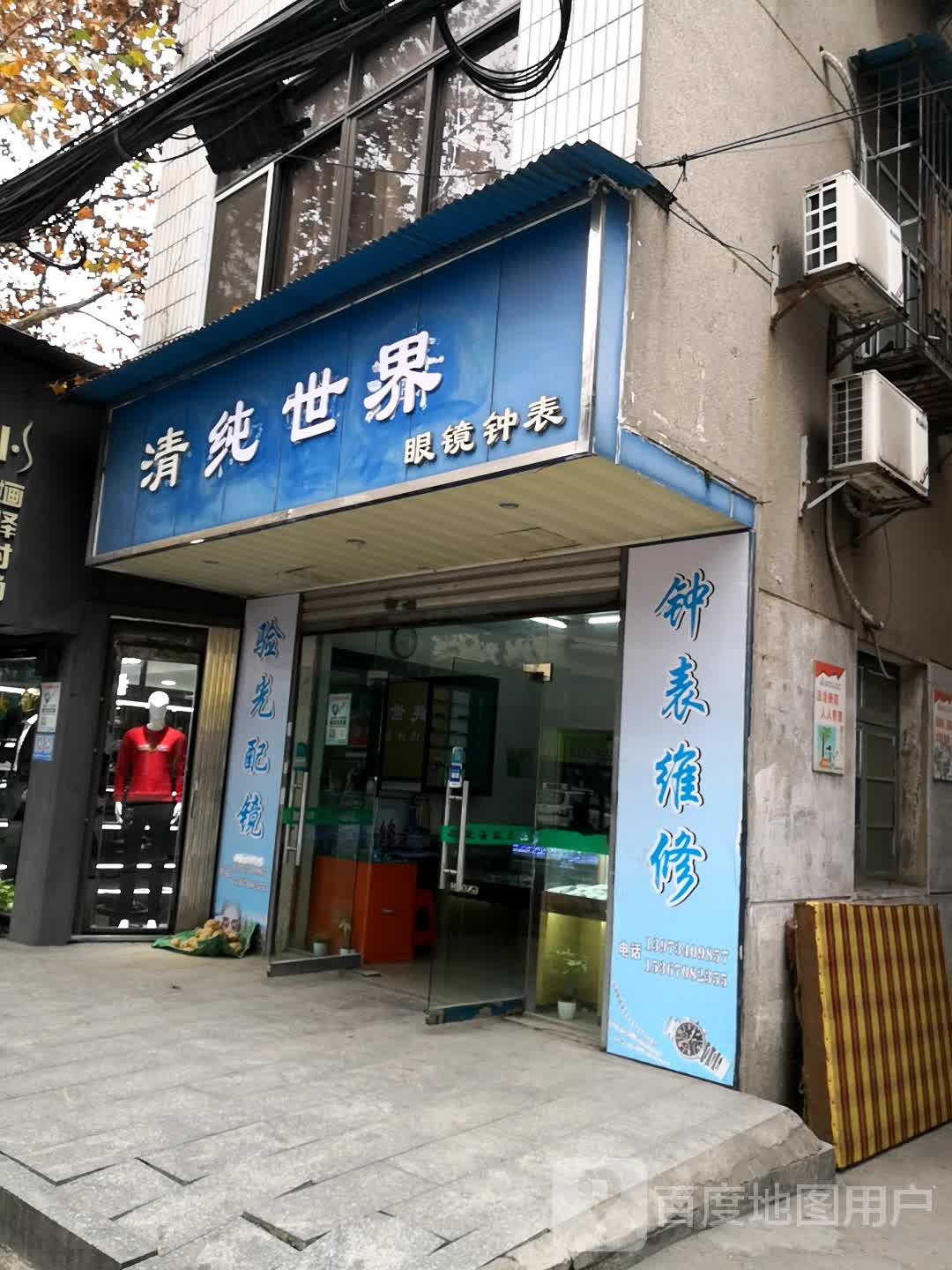 清纯世界眼镜种表