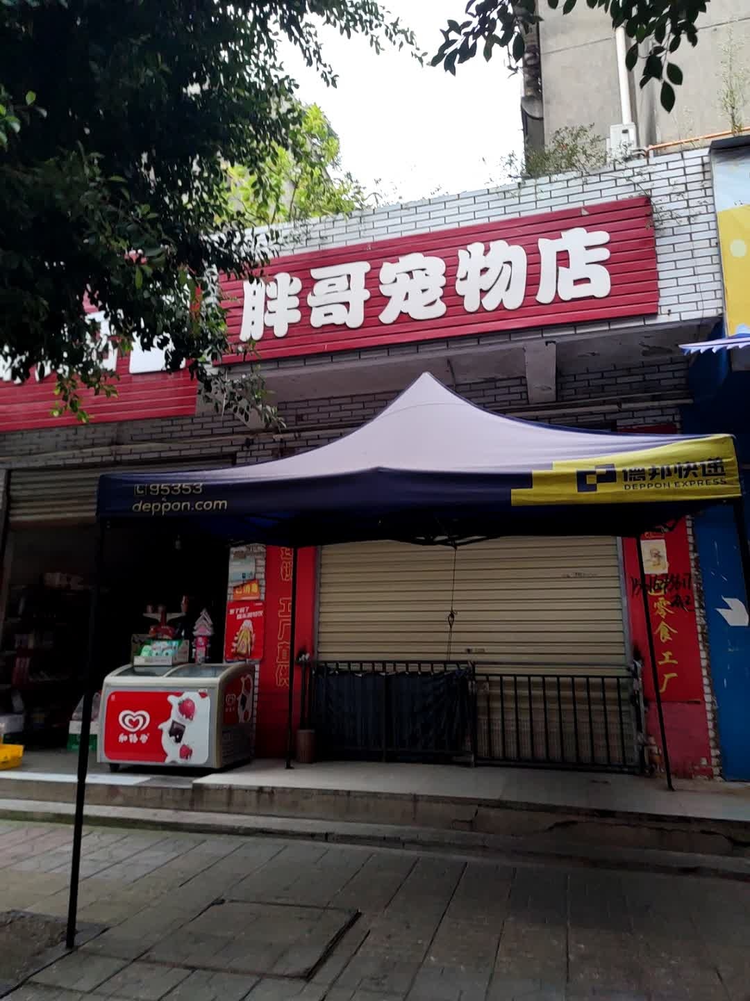 胖哥宠物店