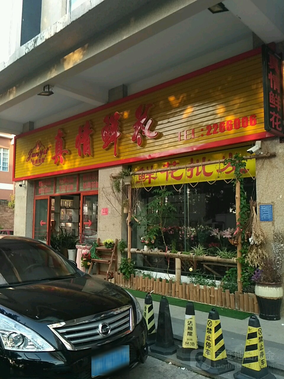 真情鲜花(江湾名城店)