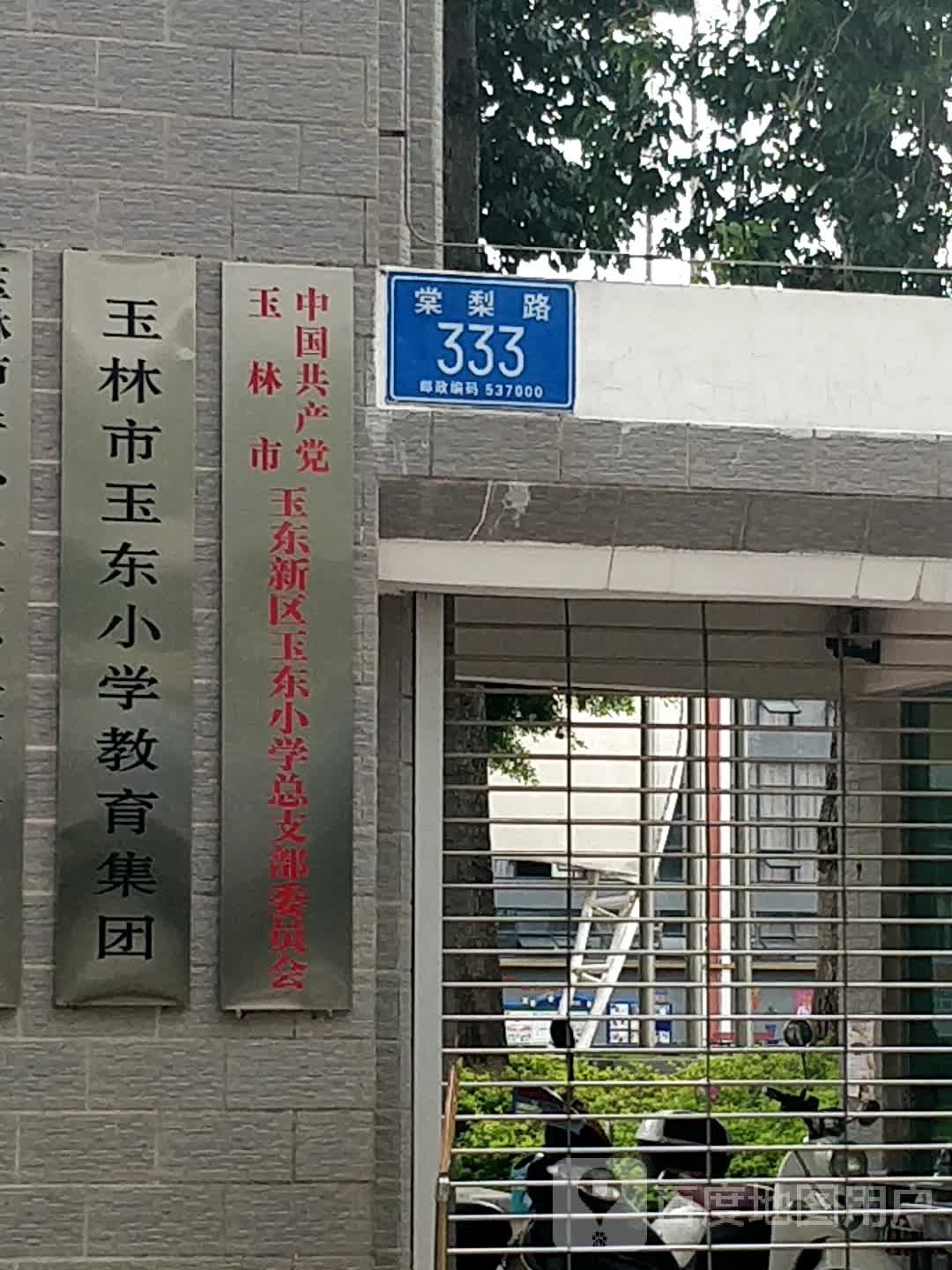 玉林市玉东小学教育集团