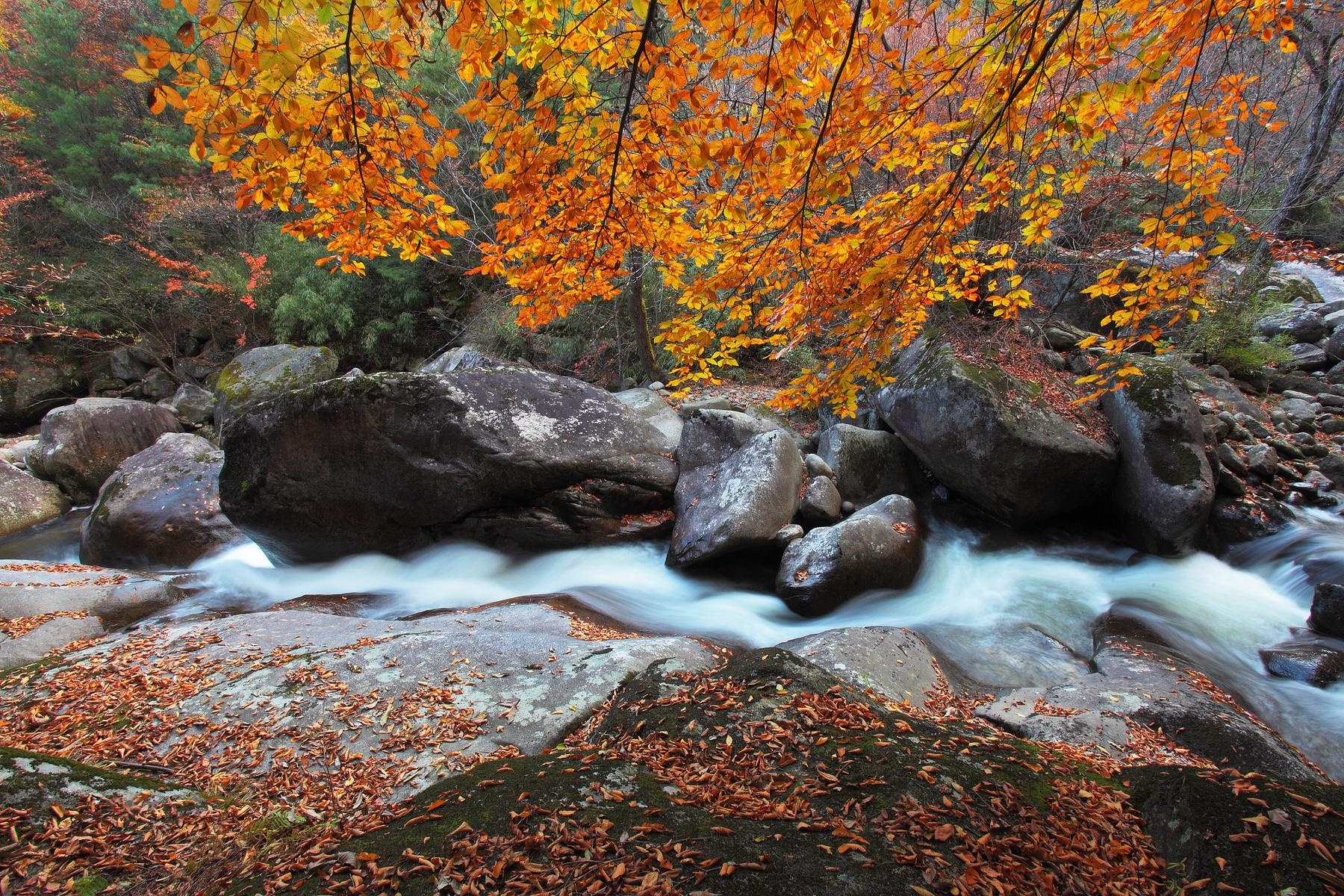 云雾山风景区