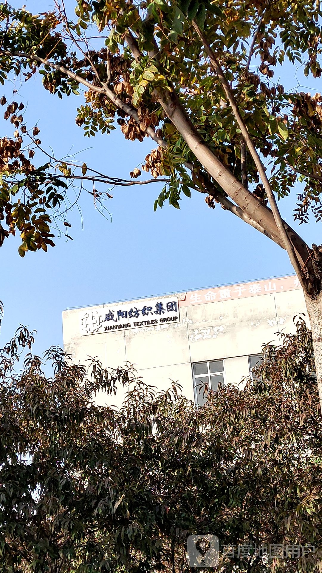 咸阳纺织集团
