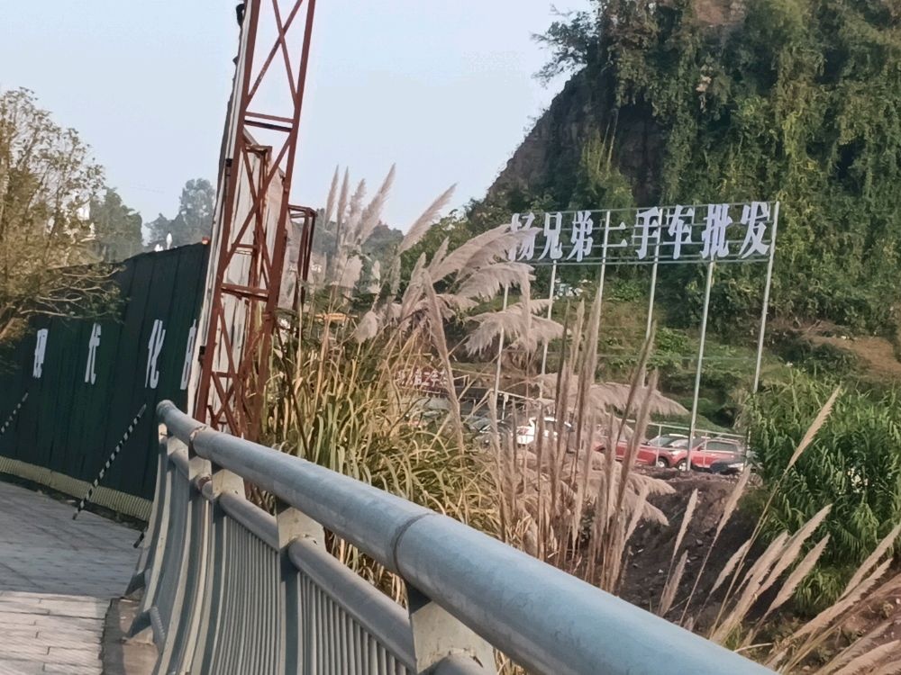 杨兄弟二手车批发