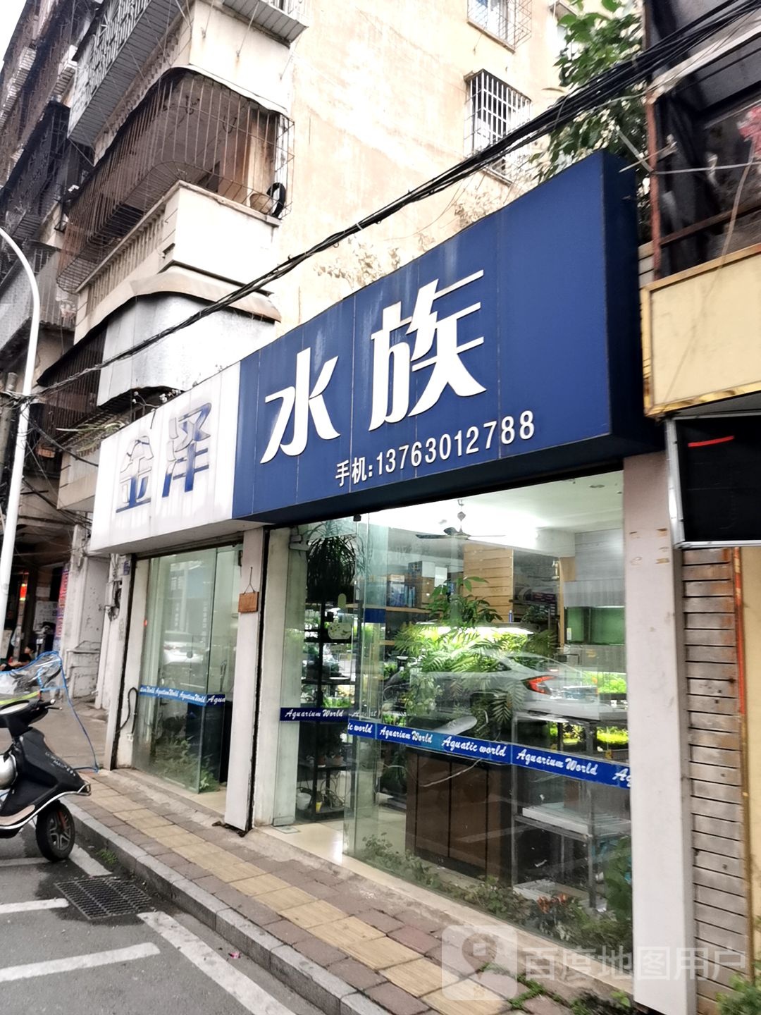 金泽水族