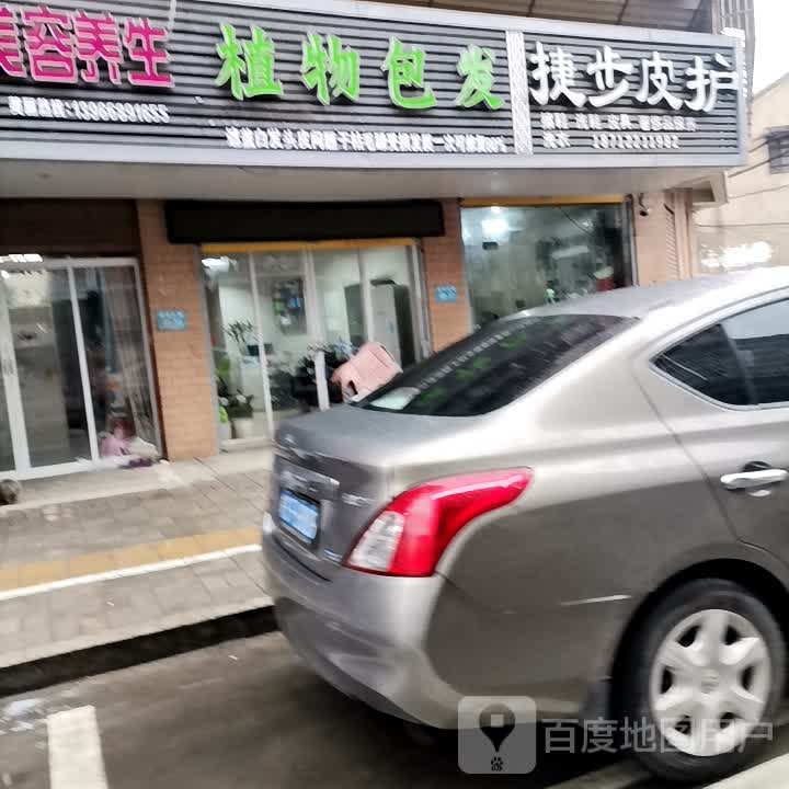 植物包发发