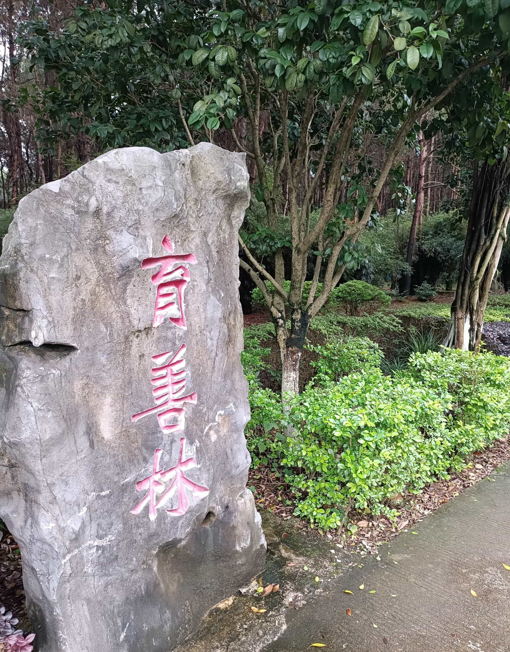 桂林学院