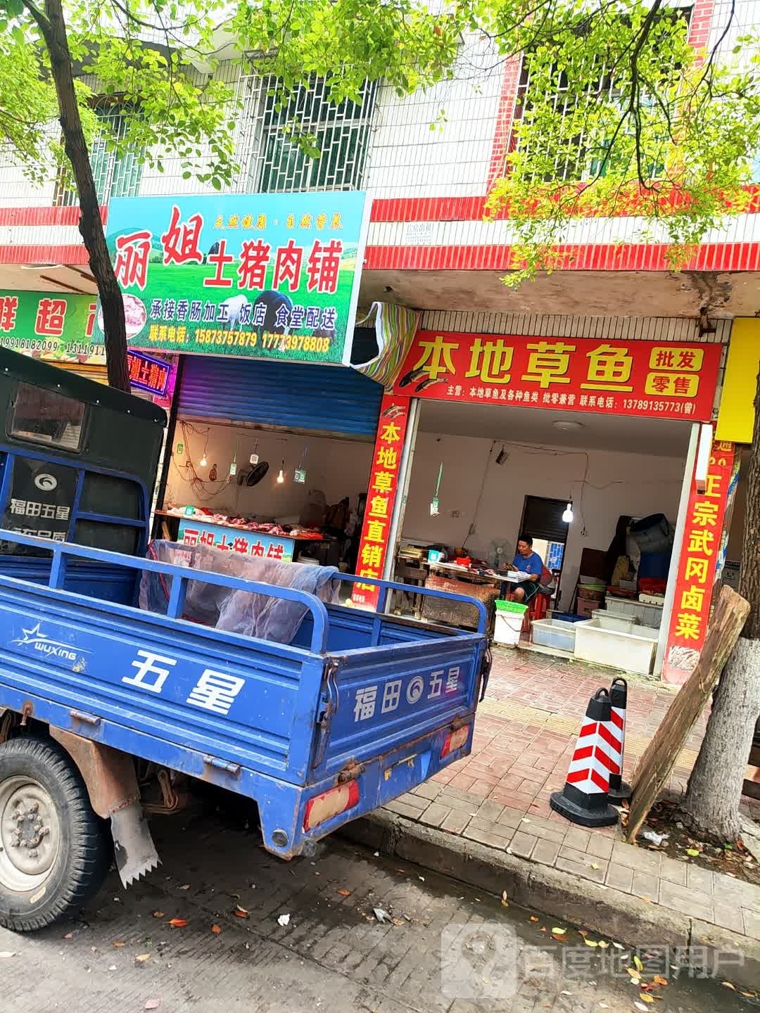 本地草鱼批发零售(金世纪家园店)