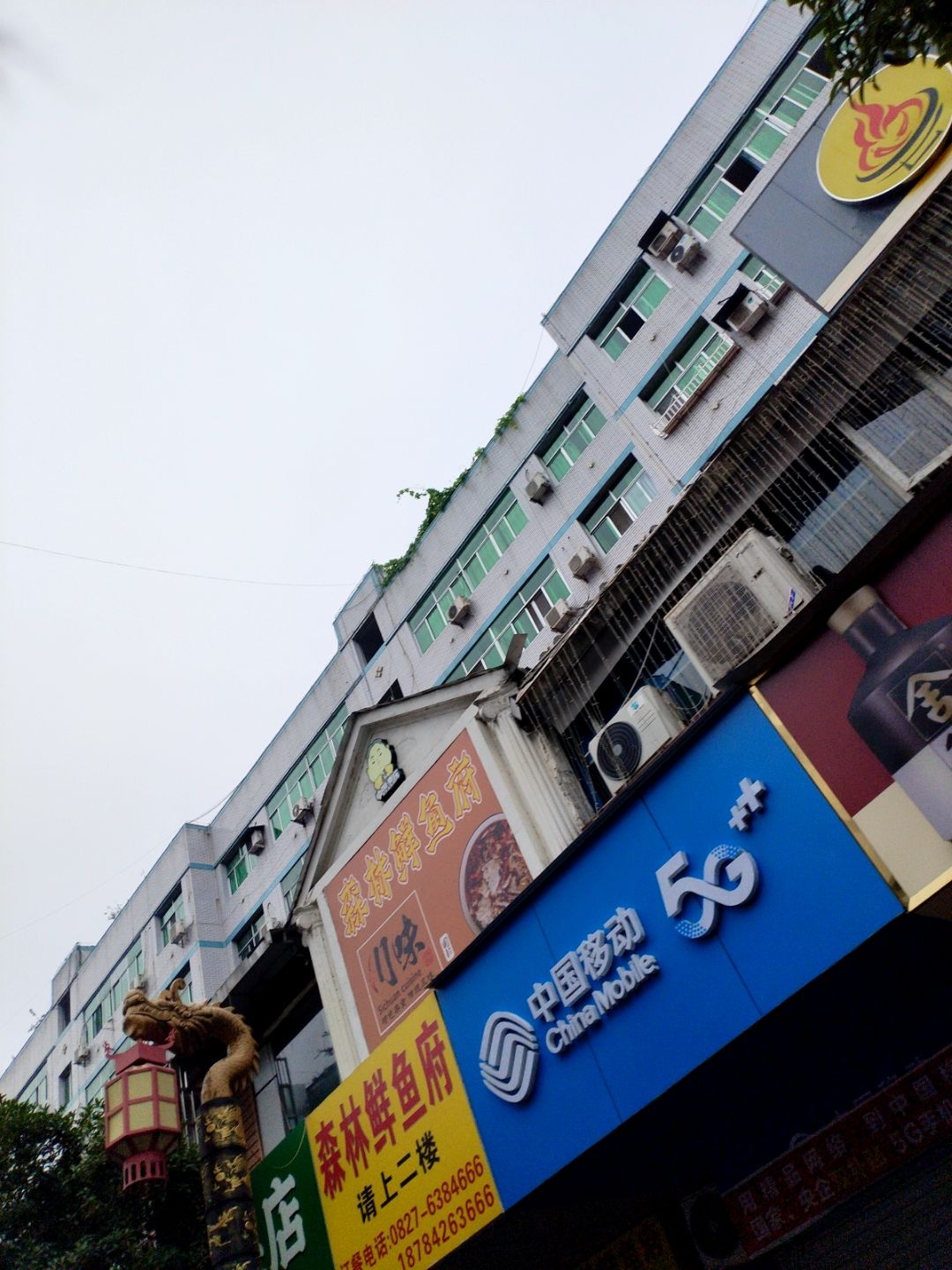 中国移动(森林公园授权店)