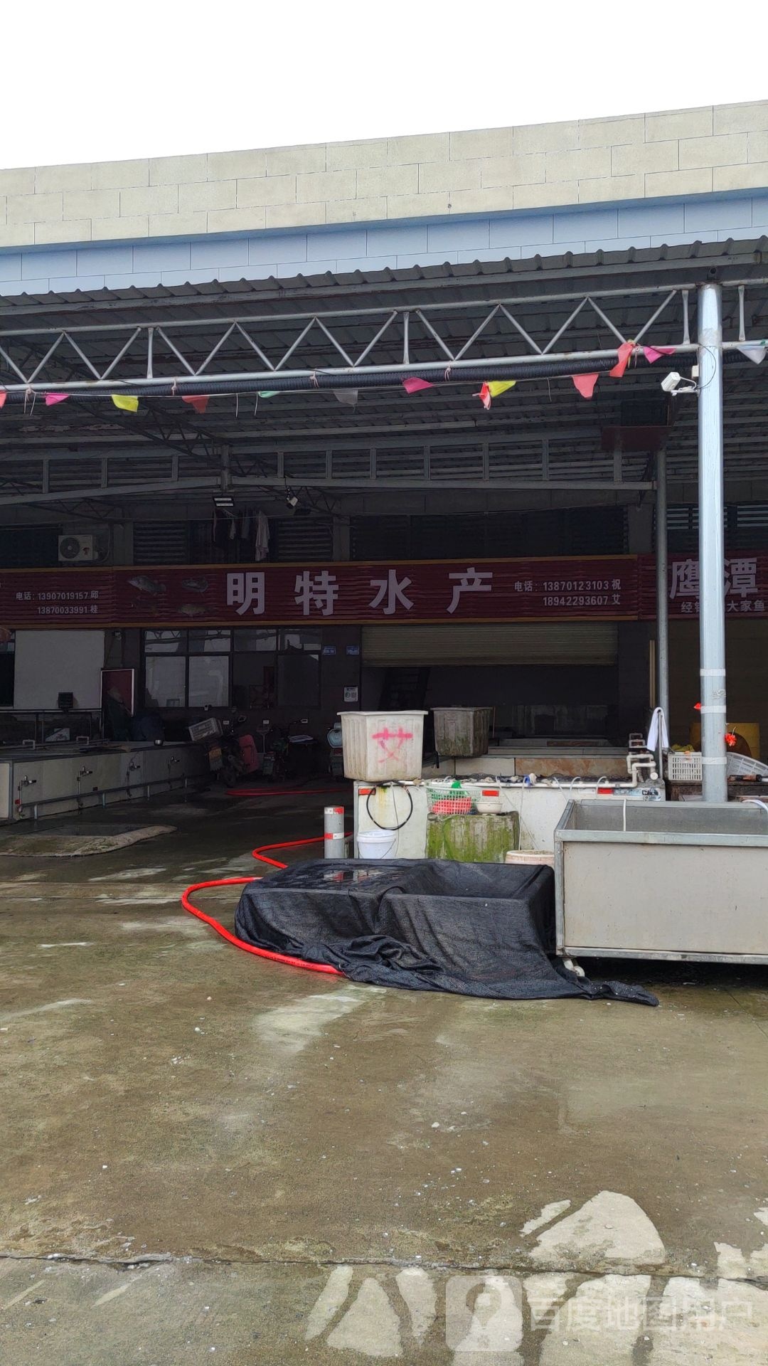 明特水产