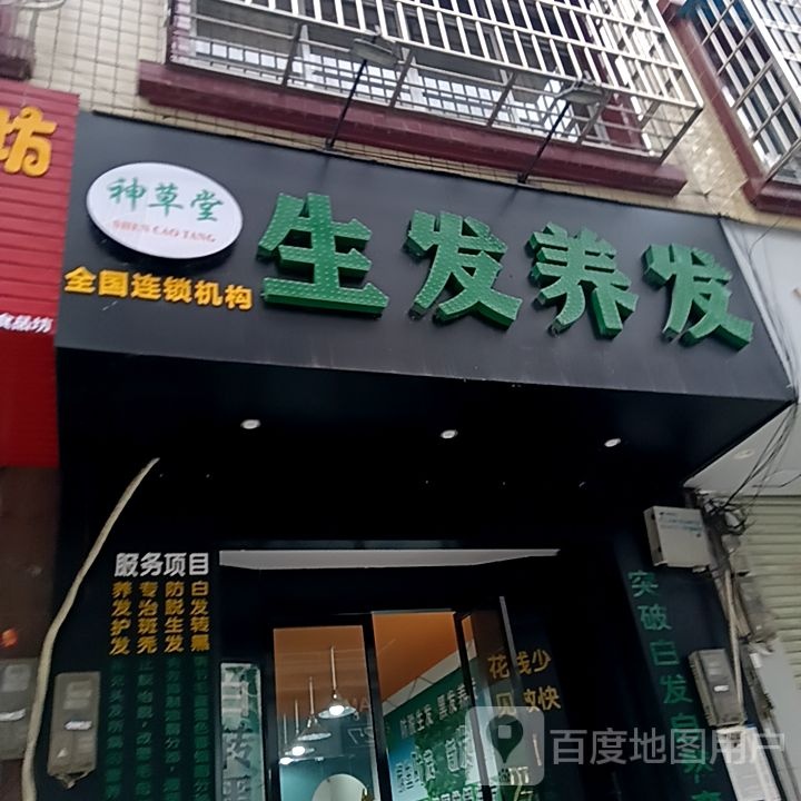 神草堂生发养丨