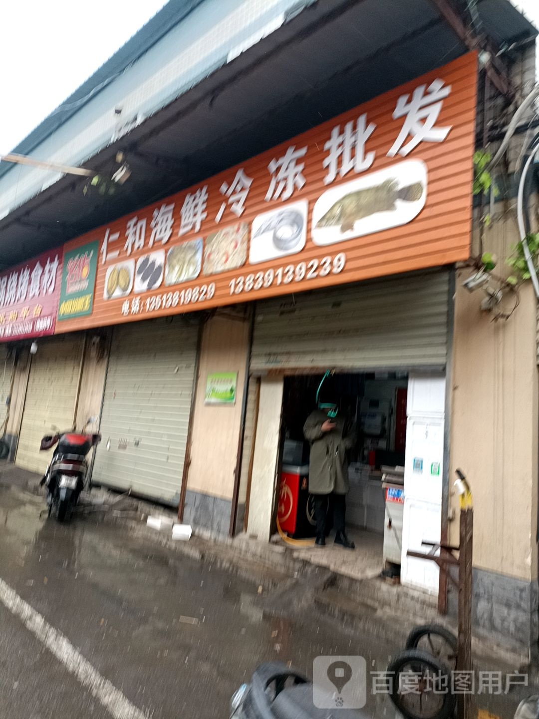 仁和海鲜冻批批发
