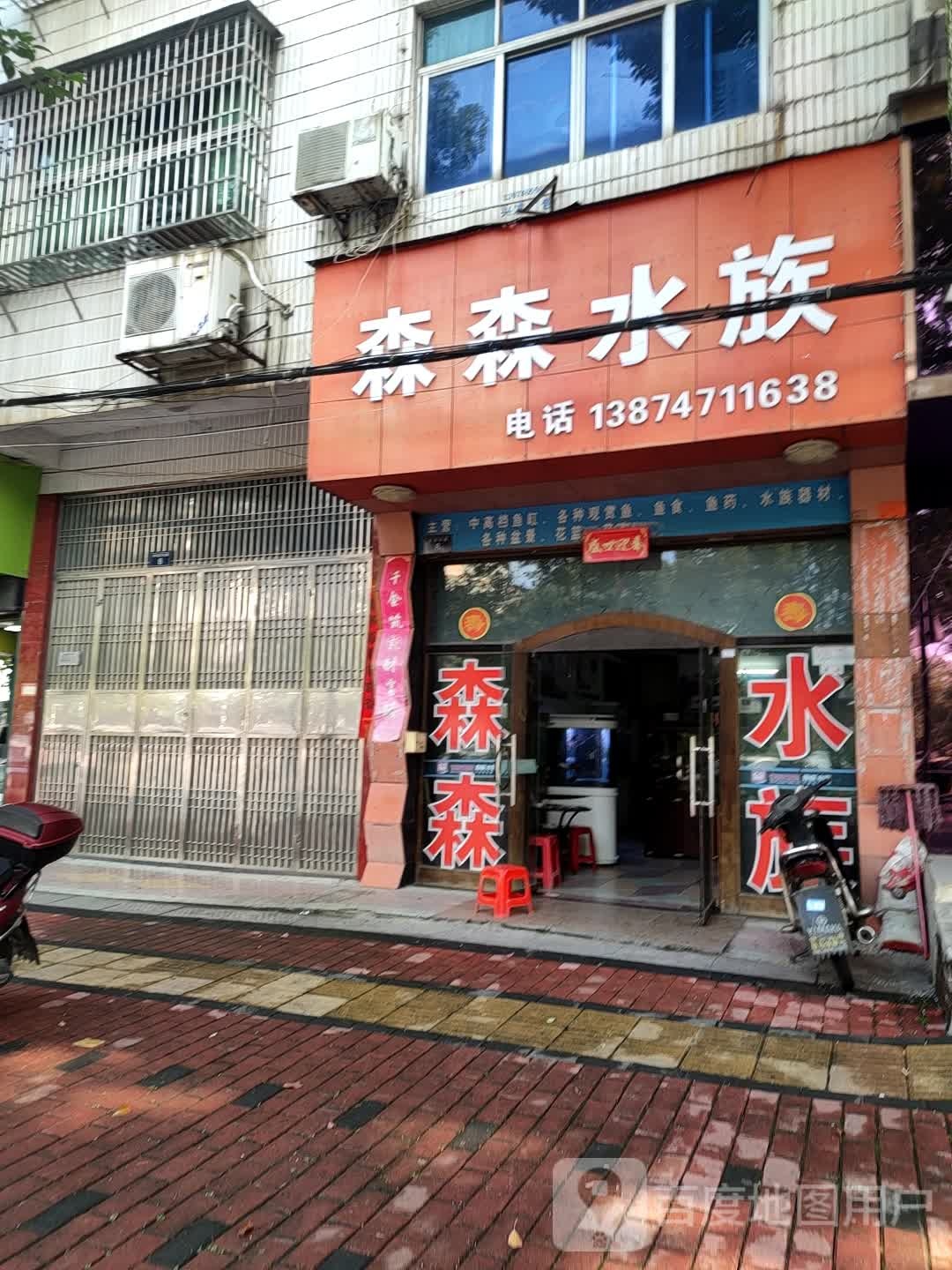 森森水族(金盆东路店)