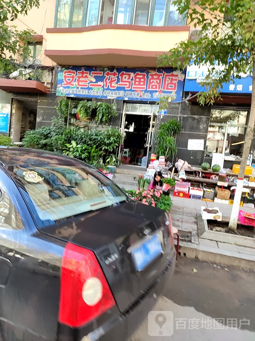 安老二花鸟鱼商店