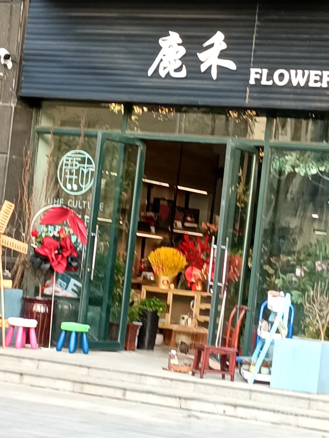 鹿禾FLOWER