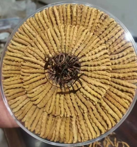 龙腾酒业礼品茅台回收