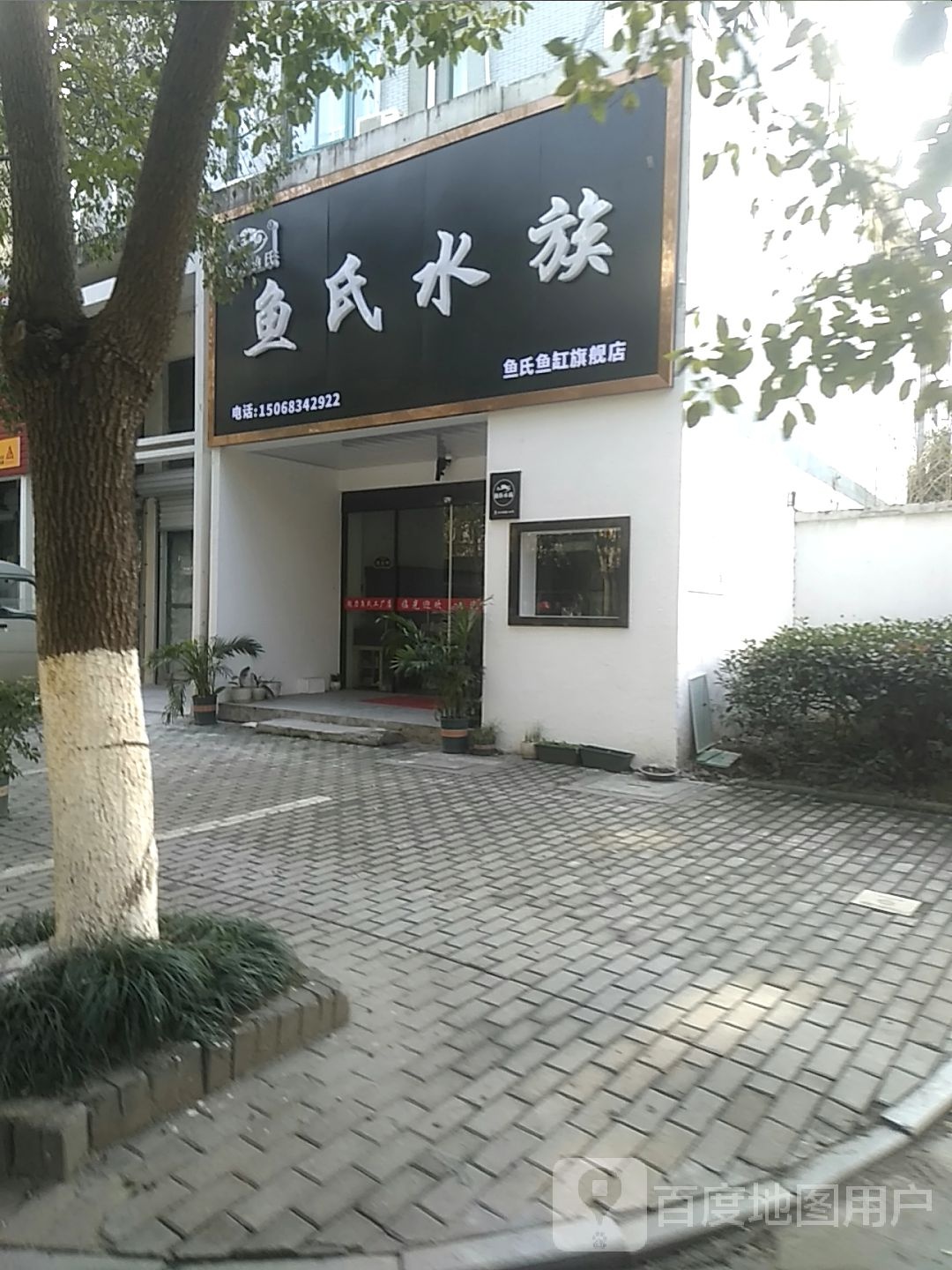 鱼四水族