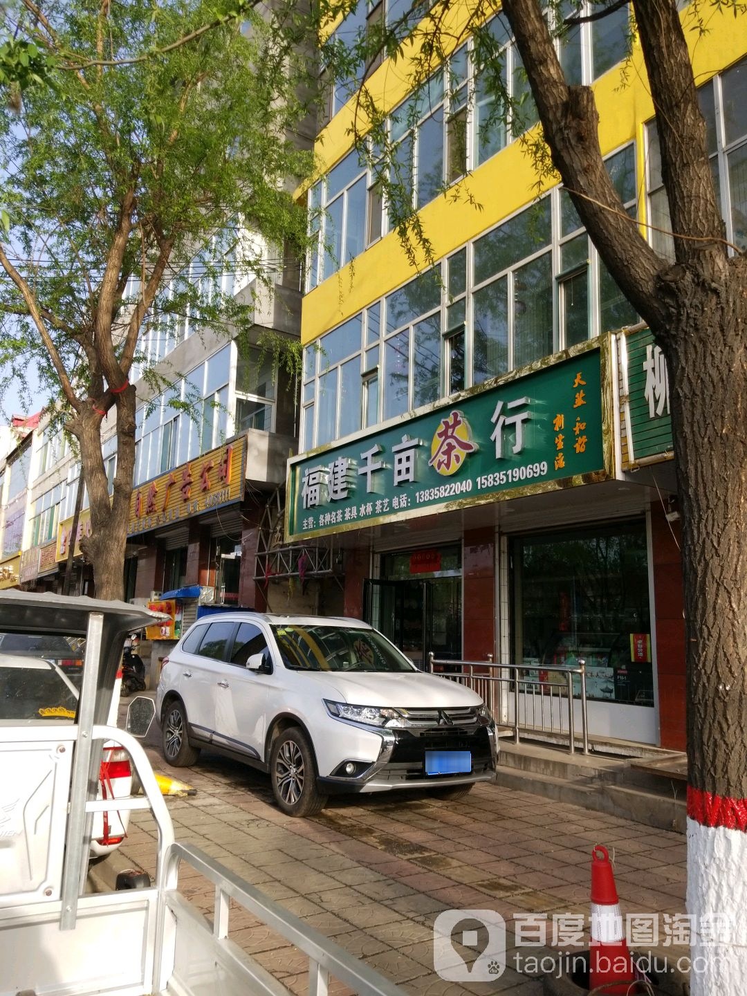 福建千亩茶行