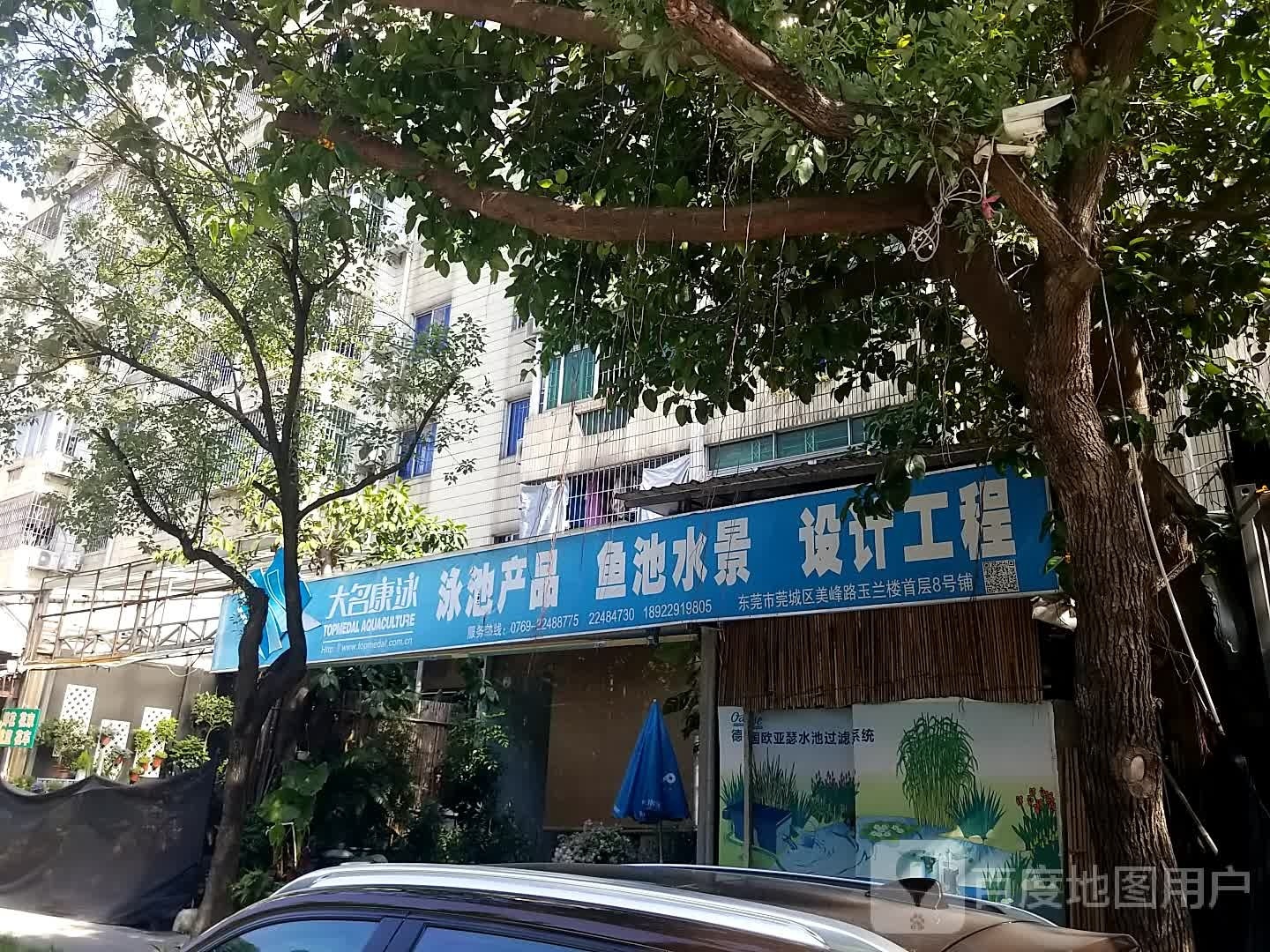 大名康泳(玉兰花园店)