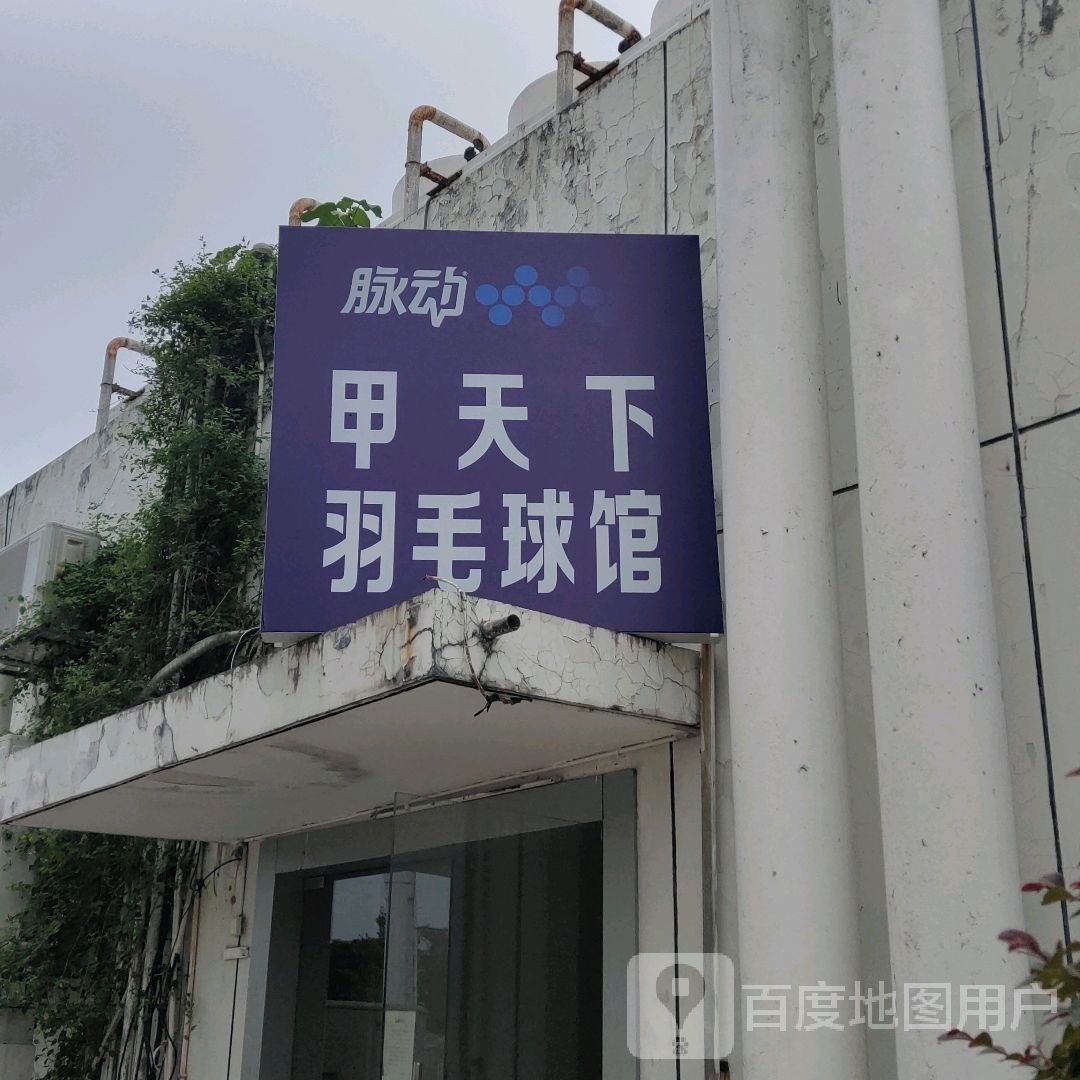 天翼篮球