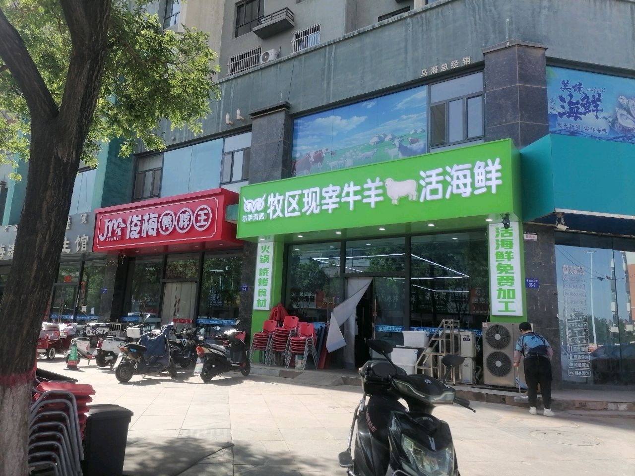 尔萨清真牧区现宰牛羊活海鲜