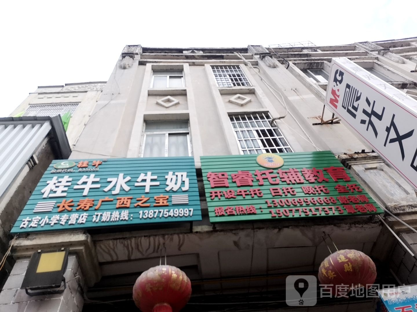 桂牛水牛奶(古定小学专营店)