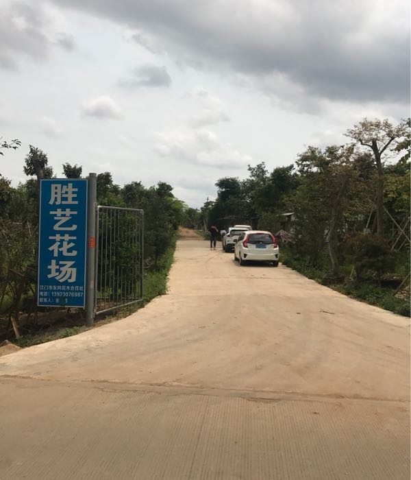 江门市胜艺花木场