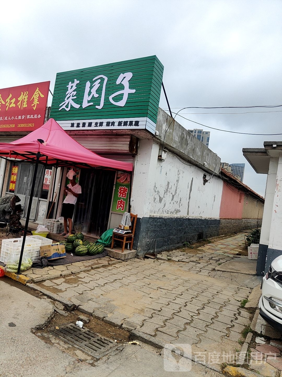 菜缘子