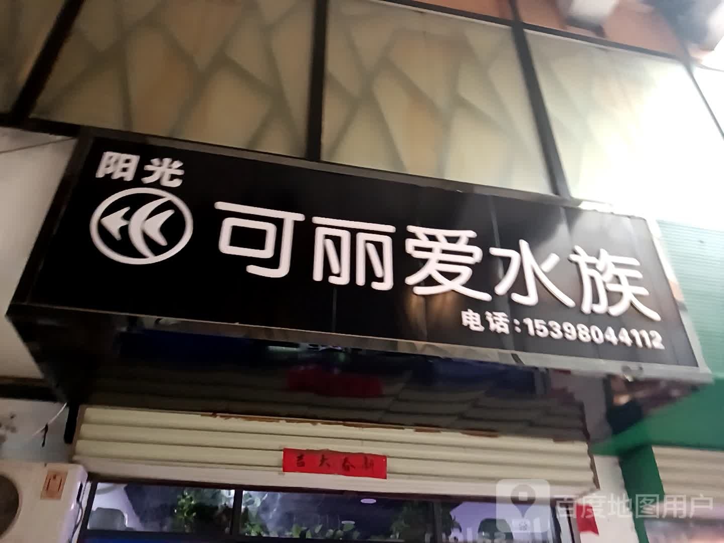 阳光可丽爱水族