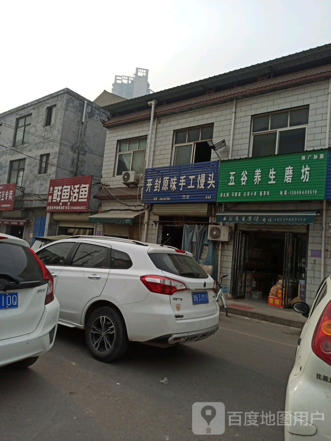 鲜鱼活鱼