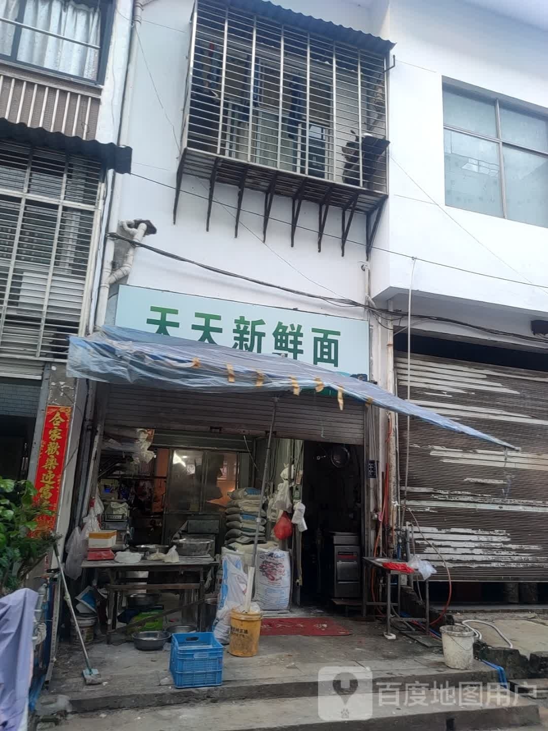 天天新鲜面